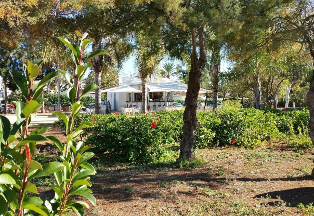 Villa Jardines de Denia iii Exterior foto